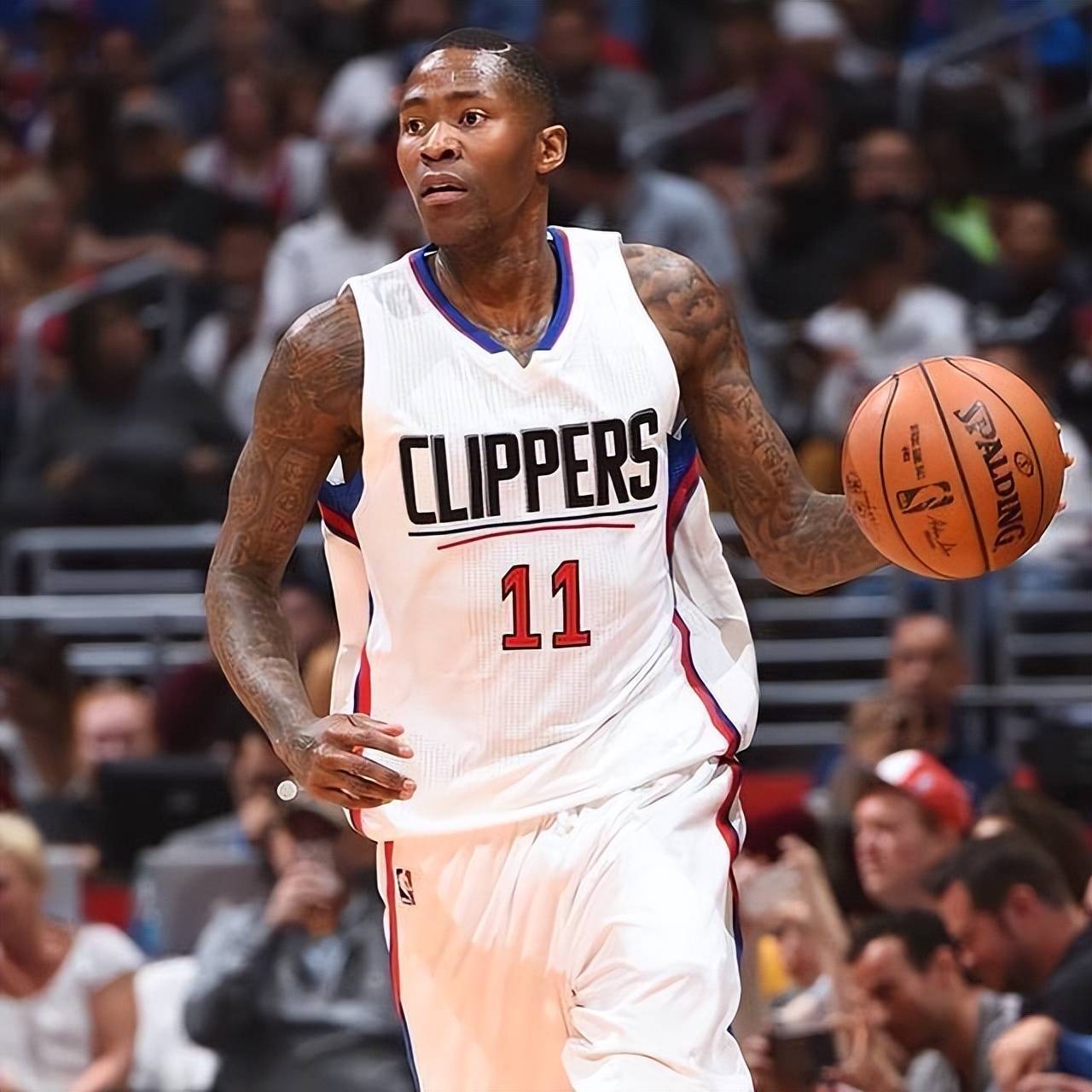 有攻击性却 有攻击性却