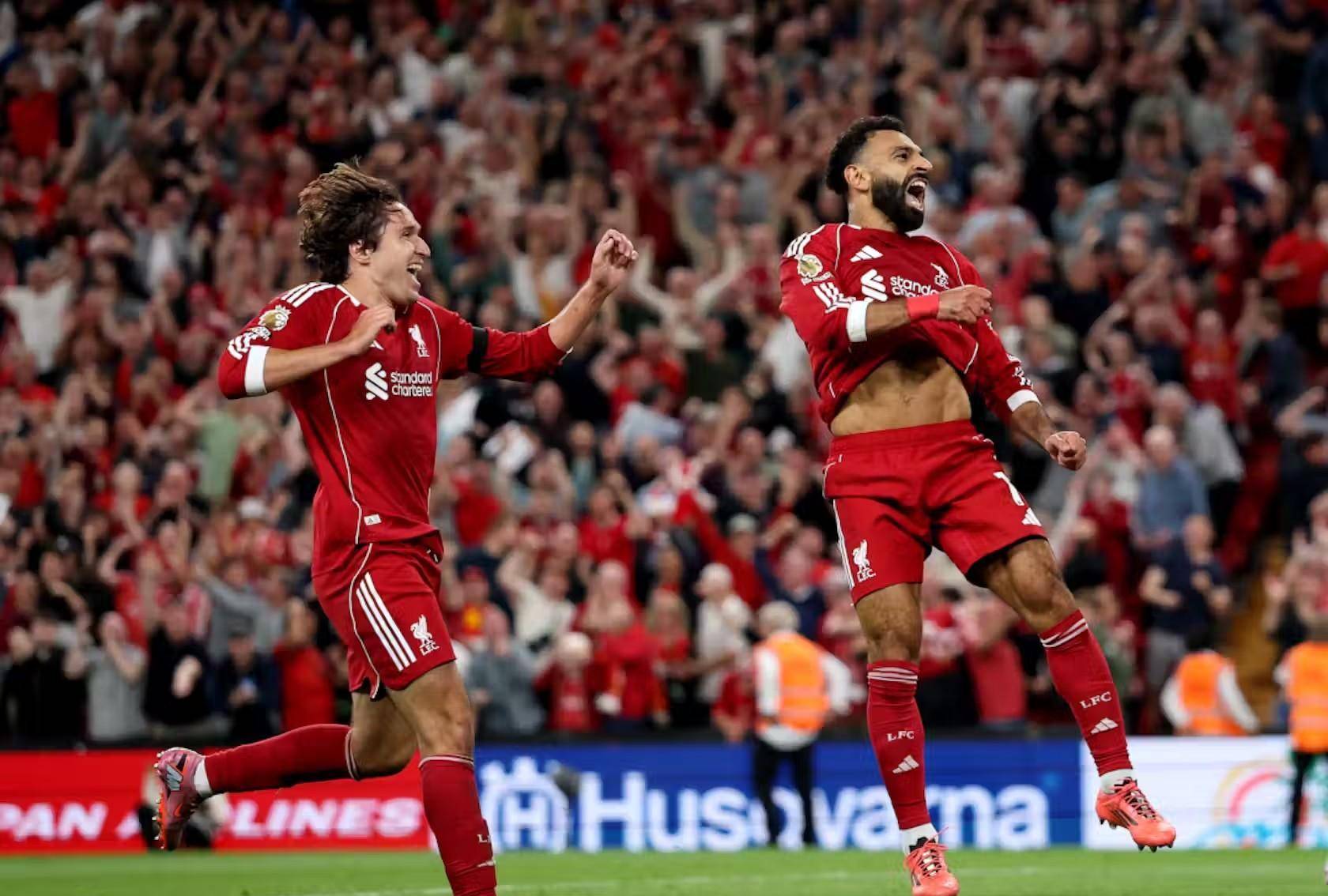 供了丰富的 供了丰富的