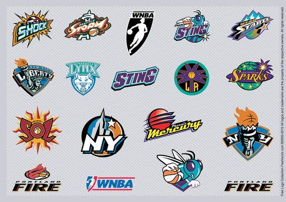 应强度的质 应强度的质