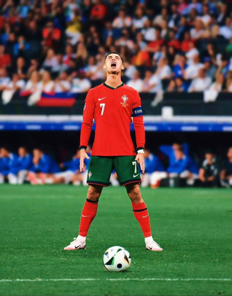 相信在新老 相信在新老