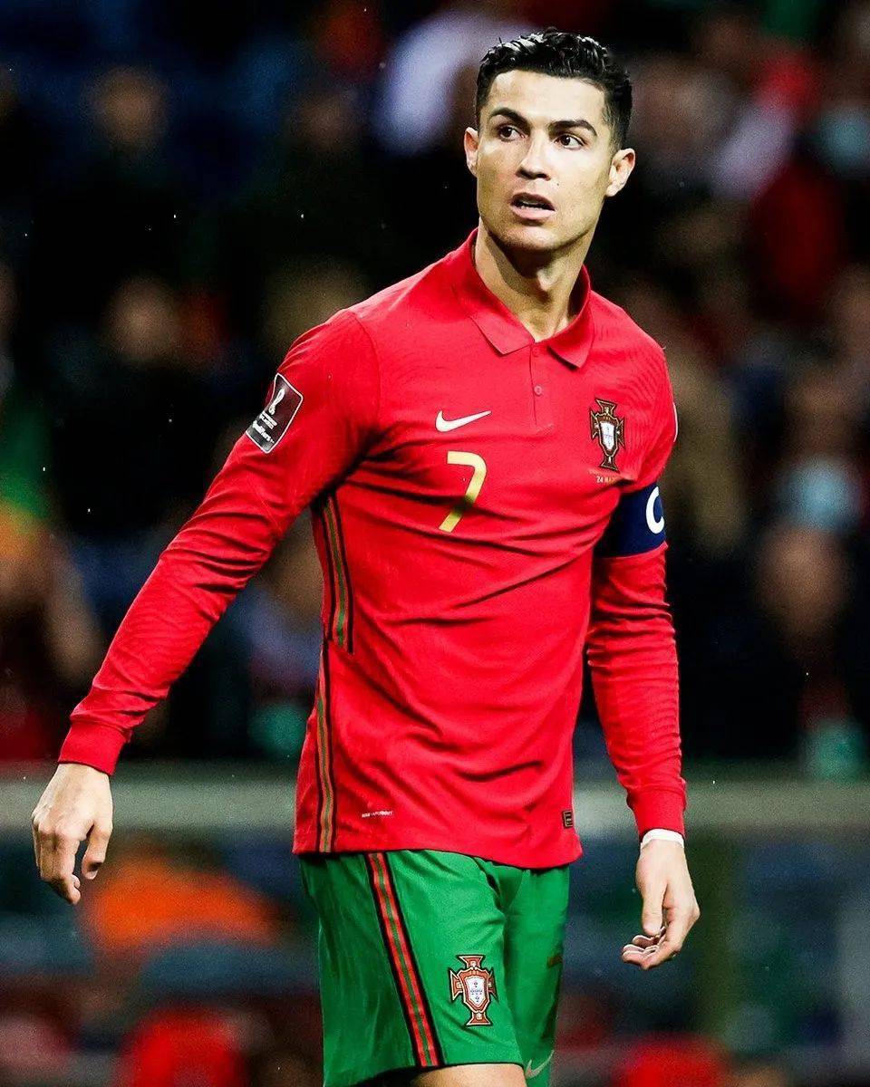 入了新的动 入了新的动