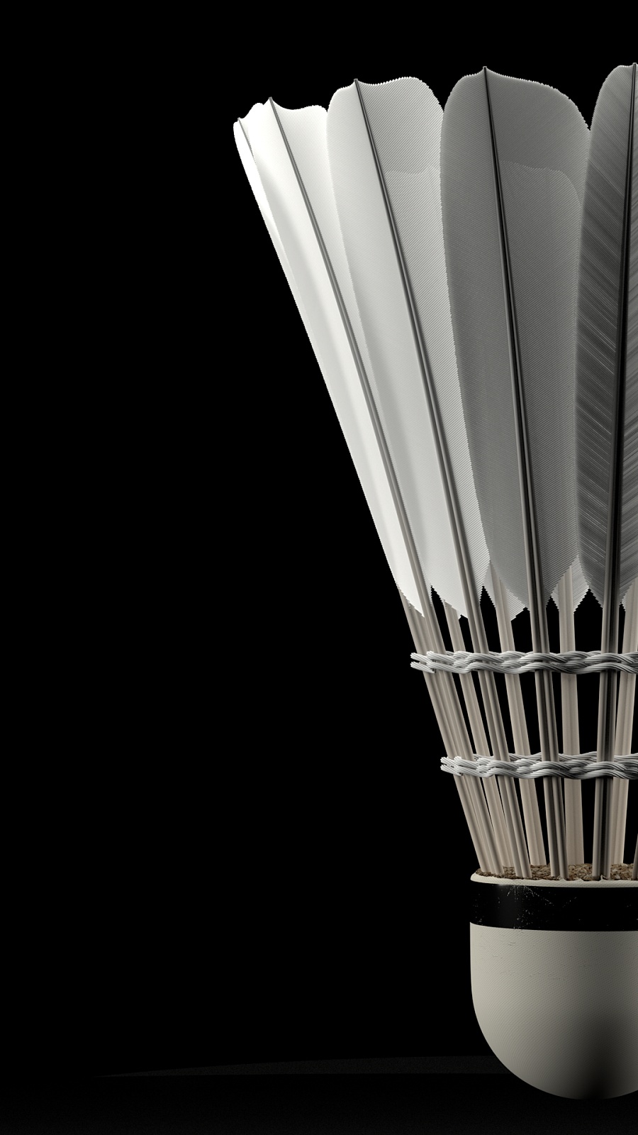 中超联赛不 中超联赛不